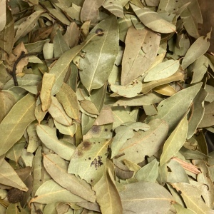 Hoja de laurel