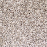 Quinoa perla blanca