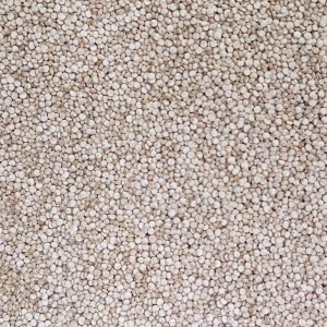 Quinoa perla blanca