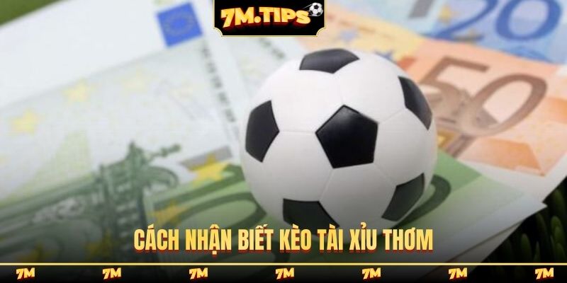 Cách nhận biết kèo tài xỉu thơm